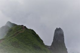 積哲夫の神写2010年7月3日　北海道　利尻島「その6」
