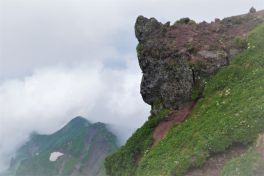 積哲夫の神写2010年7月3日　北海道　利尻島「その9」