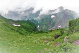 積哲夫の神写2010年7月3日　北海道　利尻島「その11」