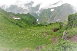 積哲夫の神写2010年7月3日　北海道　利尻島「その12」