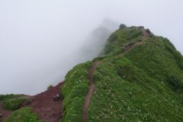 積哲夫の神写2010年7月3日　北海道　利尻島「その13」