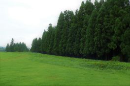 積哲夫の神写2010年7月31日　秋田県　大湯環状列石「その7」