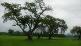 積哲夫の神写2010年7月31日　秋田県　大湯環状列石「その12」