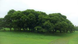 積哲夫の神写2010年7月31日　秋田県　大湯環状列石「その14」