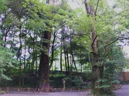 積哲夫の神写2010年8月15日　伊勢「その5」