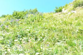 積哲夫の神写2010年8月23日　富山県　劔岳「その10」