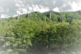 積哲夫の神写2010年9月4日　北海道　天人峡