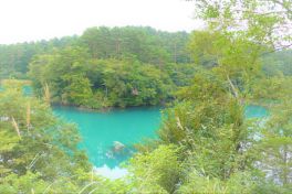 積哲夫の神写2010年9月20日 福島県 五色沼「その4」
