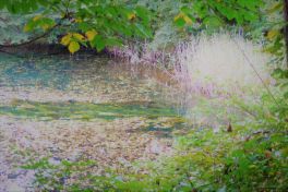 積哲夫の神写2010年9月20日 福島県 五色沼「その7」