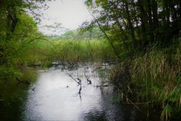 積哲夫の神写2010年9月20日 福島県 五色沼「その8」