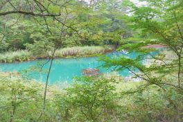積哲夫の神写2010年9月20日　福島県　五色沼「その10」