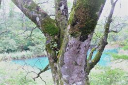 積哲夫の神写2010年9月20日　福島県　五色沼「その11」