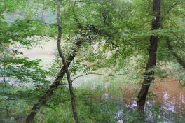 積哲夫の神写2010年9月20日　福島県　五色沼「その12」