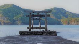 積哲夫の神写2015年10月30日　対馬「その5」
