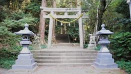 積哲夫の神写2015年10月30日 対馬「その7」