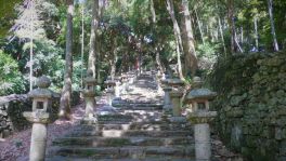 積哲夫の神写2015年10月31日　対馬「その10」