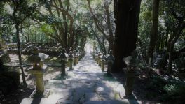 積哲夫の神写2015年10月31日　対馬「その16」