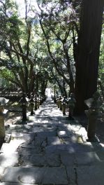 積哲夫の神写2015年10月31日　対馬「その17」
