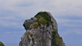 積哲夫の神写2015年11月1日　壱岐「その2」